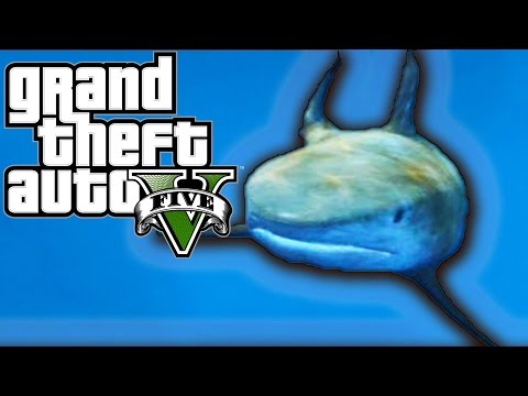 mods - GTA 5 Animals Mod - GTA 5 Mods - ANIMAL MOD - Play As Animals In GTA 5 Online (GTA V Online Mods) On GTA 5 & GTA V Online Gameplay Help Me Reach 100k Subs http://goo.gl/jps6WY Follow Me On...