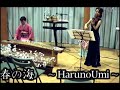 Japanese music Haruno Umi  - koto violin - 春の海　琴