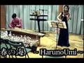 Japanese music Haruno Umi  - koto violin - 春の海　琴
