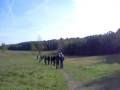 videos de lakelandwandeling.AVI