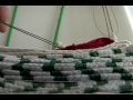 Secret Life of Inchworms (Episode 1) Secret Life of Inchworms (Episode 1)