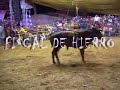 JARIPEO CON LA TARASQUE�A