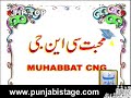 Cast: Iftikhar Thakur, Nasim Vicky, Nasir Chinyoti, Khushboo, Sidra Noor, Erum Tahir, Asif Iqbal and others