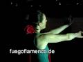 Flamencotanz lernen in Hamburg