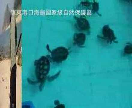 中國惠東縣平海