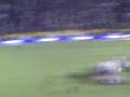 levantando la copa.3gp