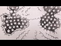 Cloud Cult - You'll Be Bright