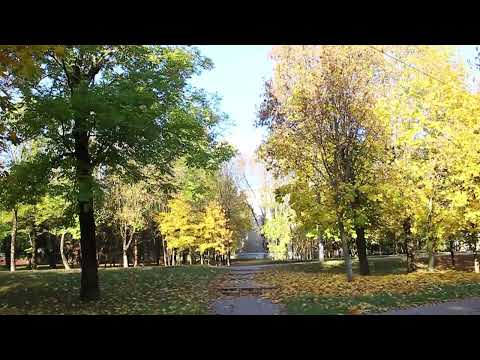 Барановичи день за днем. 28.10.24.