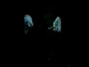 1998 live in spasimo curch, palermo italy

gulielmo pagnozzi: sax alto, clarinett
tito mangialajo rantzer: doublebass
lorenzo gasperoni: drums, percussion

tommaso correale santacroce: director, lights
