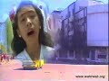 Kuako Voice - Tifa Damai Kuako Voice - Tifa Damai