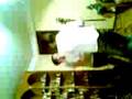 videos de tepitazo de mis sueños 1