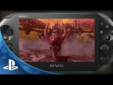 Vidéo 1