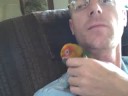 Our Sun Conure Our Sun Conure