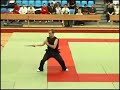 KungFu Star 2006