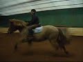 17.12.2006 Laura hypp��