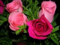 Flower Power