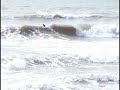videos Surf