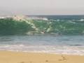 HUGE WAIMEA & MASSIVE SHOREBREAK