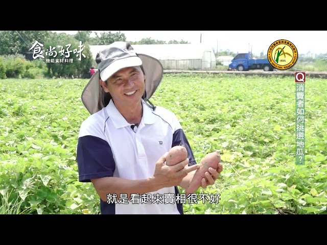 食尚好味#49 地瓜｜雙藷雞腿十鼓飯