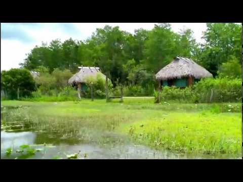 Miami, Florida Everglades - Gator Park Airboat Tours. June 2012