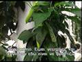 Hydroponics_Bill