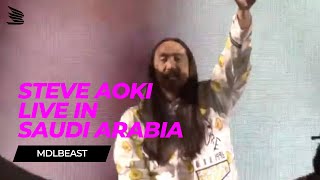 Steve Aoki - Live @ MDL Beast Festival 2019