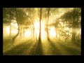 Click here to watch this video LeoV - Magic Destiny