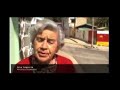 Perros Vagos de Valparaíso