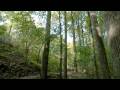 Just Ride - XC  (HD MTB Video) Munich by Editors