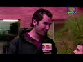 Bichos - Chuel chupar chuche
