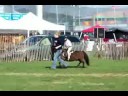 Eric and Montey - Acton Fair