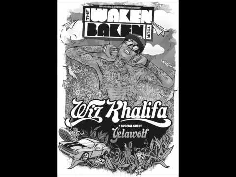 Wiz Khlifa-Taylor Gang Song (HQ)