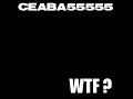 WTF? - CEABA55555 (Original Mix)