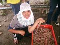 Click here to watch this video PROJET PENELITIAN ANDAL MAHASISWA FAKULTAS KESEHATAN MASYARAKAT