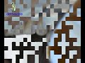 moldagem de transferência com 4.m2v