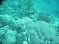 Botshing TV - Episode 29 - Great Barrier Reef Botshing TV - Episode 29 - Great Barrier Reef