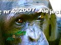 Please support Written Declaration 40 Please support Written Declaration 40