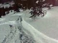 Skiing the NRC gullies at Rogers Pass Feb. 2 2007. Surface hoar made for a great three runs.