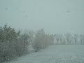 Nevicata pianura padovana lunedì 24 novembre 2008 Nevicata pianura padovana lunedì 24 novembre 2008