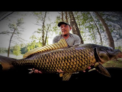 ловля крупного карпа краснодарский край ловля крупного карпа краснодарский край