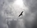 Caresse sur l'Ocean - Les Choristes