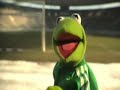 kermit adicolor