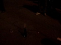 New Year\