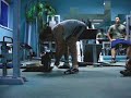 wioslo jednoracz 6x60kg.wmv