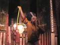 videos de Trompe circulaire