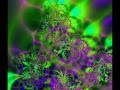 The best trippy shit