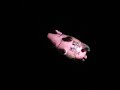 Release the Pig!