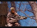 hunting hunting