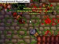 tibia pk anto