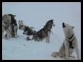 clip video Terence Fixmer Magnitude Zero
